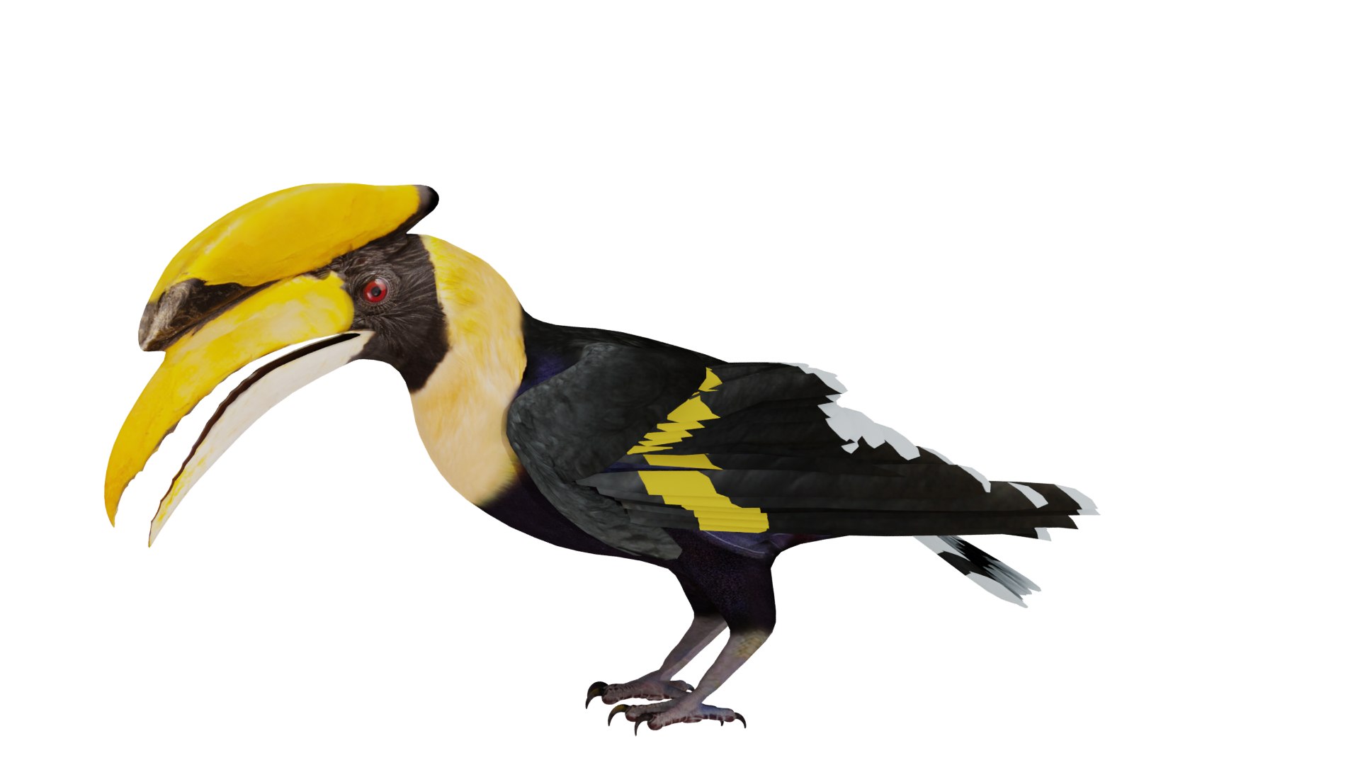 Great Hornbill Bird 3D model https://p.turbosquid.com/ts-thumb/hP/Te4OIY/vQ/great_hornbill_preview12345/png/1760120029/1920x1080/fit_q87/457b3ee6b43716aaa27237b6ee755f748b1a9950/great_hornbill_preview12345.jpg