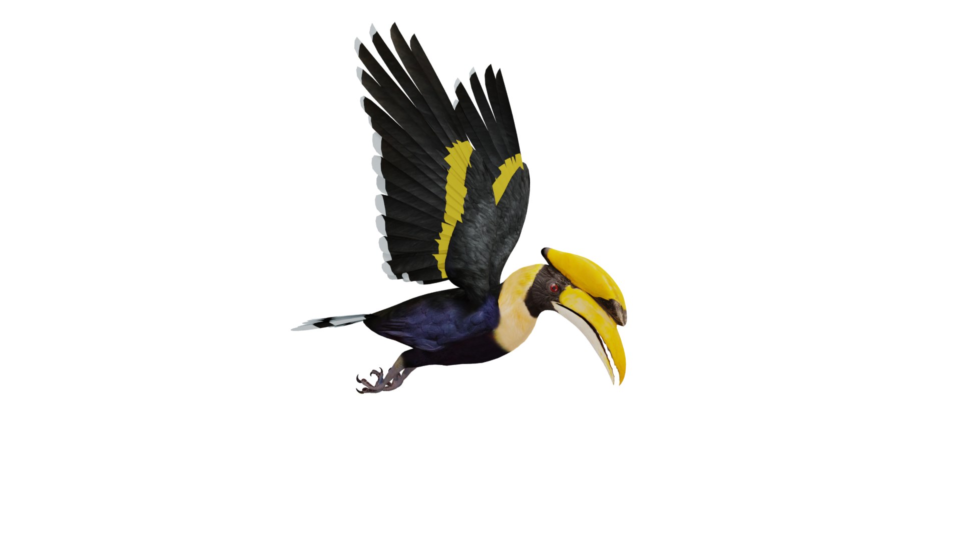 Great Hornbill Bird 3D model https://p.turbosquid.com/ts-thumb/hP/Te4OIY/x5/great_hornbill_preview123/png/1760120027/1920x1080/fit_q87/31b6057ec9af9a6bbae40a1f506c98f2be87d668/great_hornbill_preview123.jpg