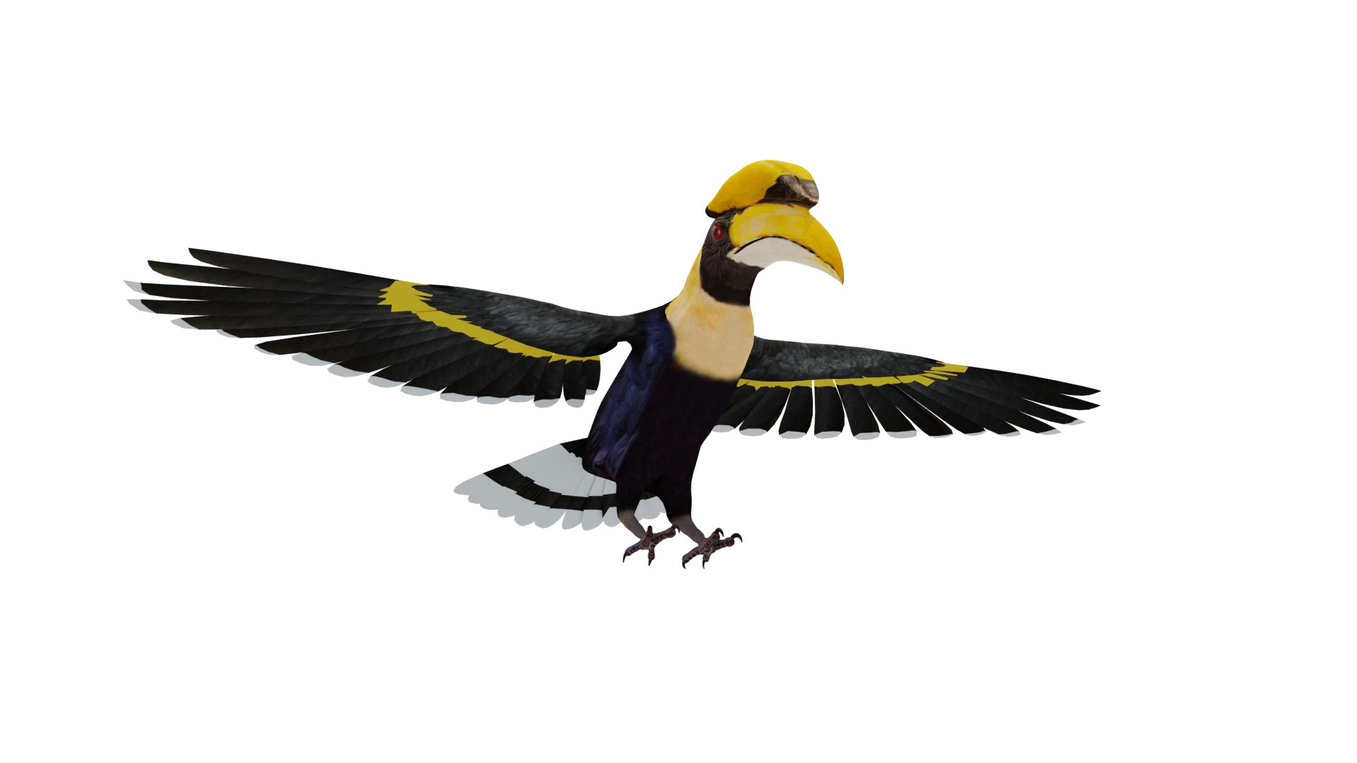 Great Hornbill Bird 3D model https://p.turbosquid.com/ts-thumb/hP/Te4OIY/xv/great_hornbill_preview12/png/1760120027/1920x1080/fit_q87/7e29c92941260846d53c582eab6cbb869ef176f9/great_hornbill_preview12.jpg