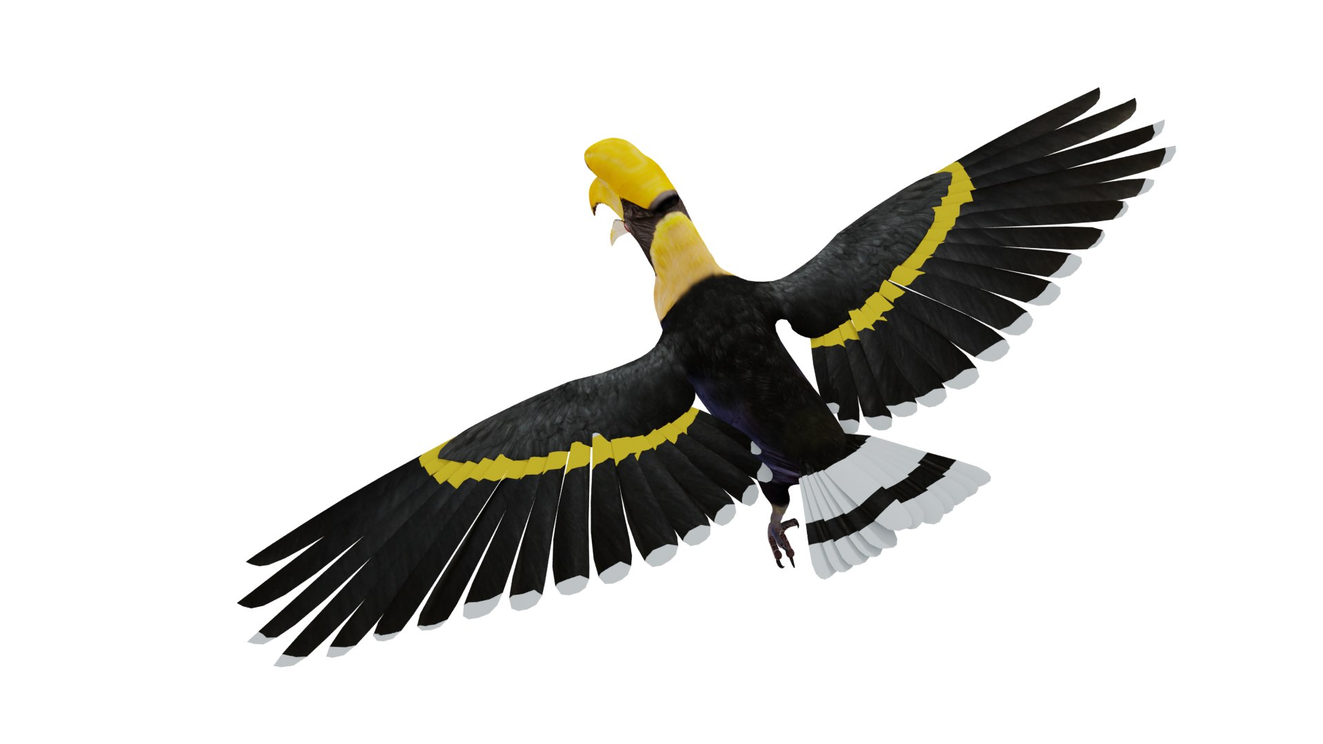Great Hornbill Bird 3D model https://p.turbosquid.com/ts-thumb/hP/Te4OIY/zq/great_hornbill_preview1234/png/1760120032/1920x1080/fit_q87/a978a36c8a1e702b95ee24d31e6701d071ace84c/great_hornbill_preview1234.jpg