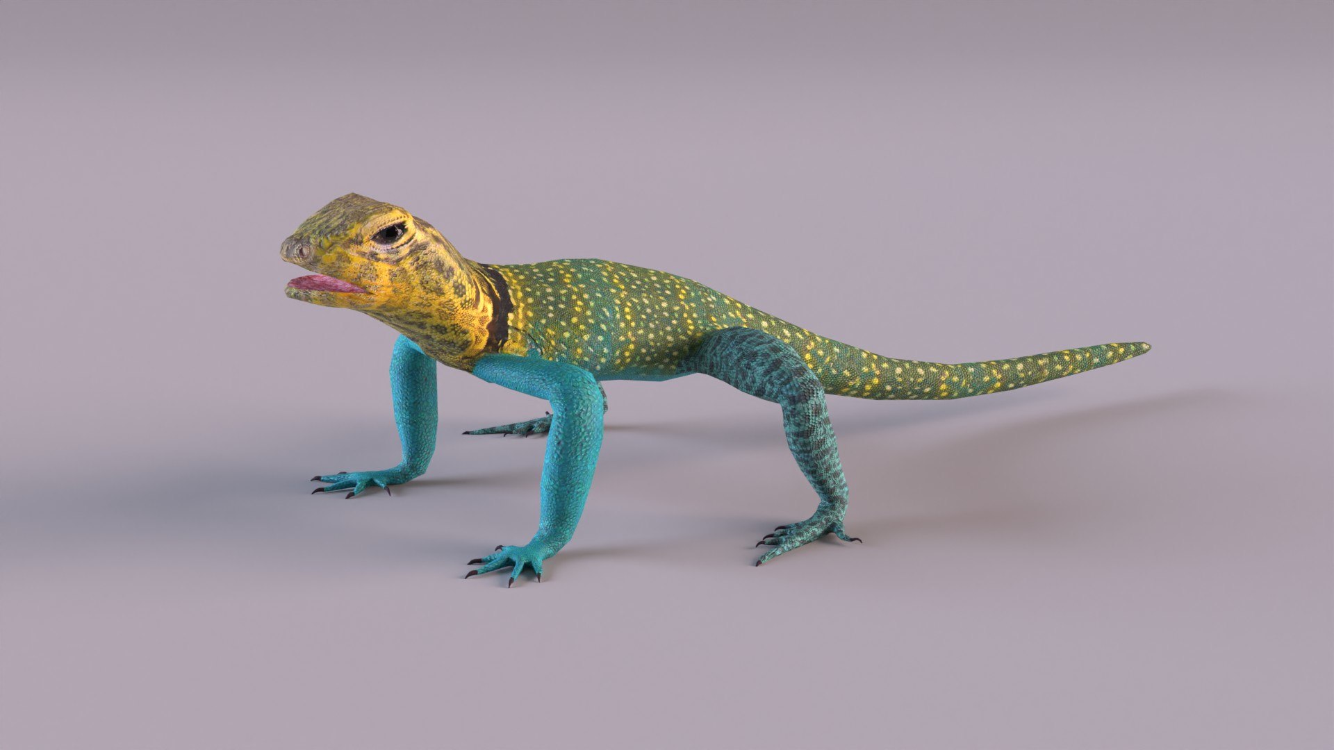 3D Collared Lizard Model - TurboSquid 1226901