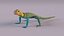 Collared Lizard
