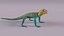 Collared Lizard
