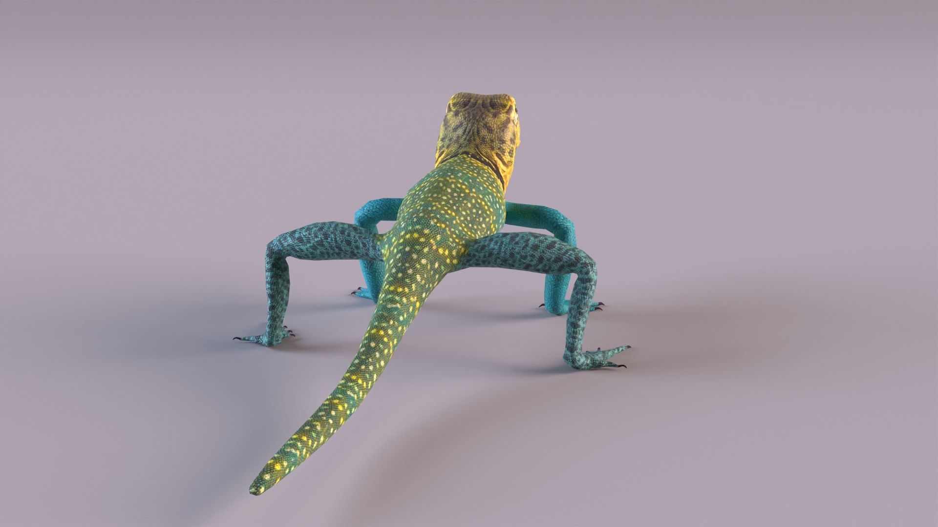 3D collared lizard model https://p.turbosquid.com/ts-thumb/hP/d2TrTv/h3/clizard_0005/jpg/1659788668/1920x1080/fit_q87/c908f22fbc778b3dcc3f615727bdbd3796c90f8e/clizard_0005.jpg