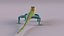 Collared Lizard