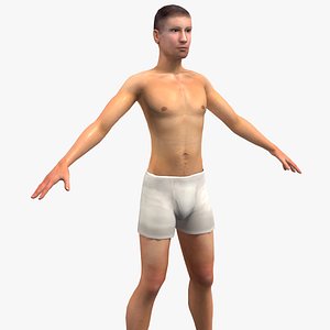 Male Anatomy