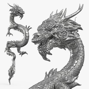 Chinese Silver Dragon
