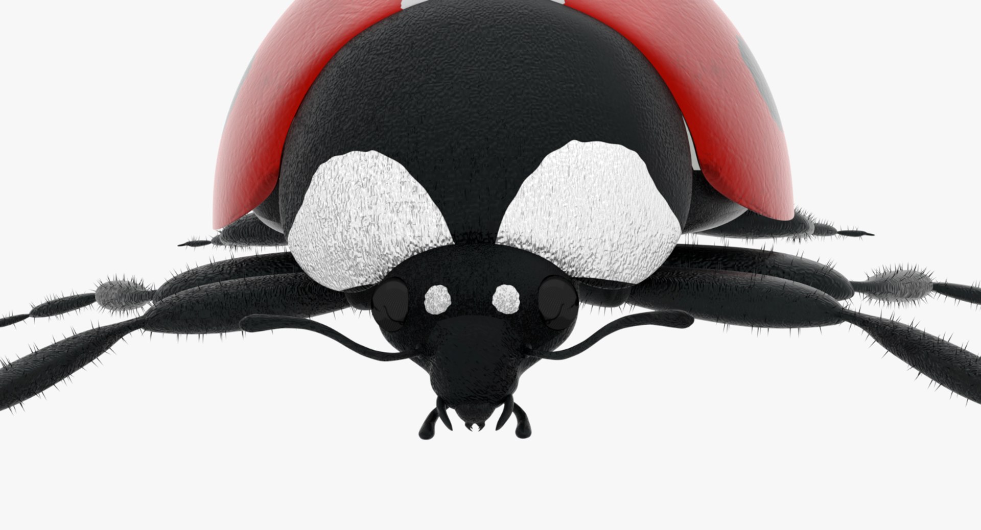 3D Model Ladybug - TurboSquid 1284194