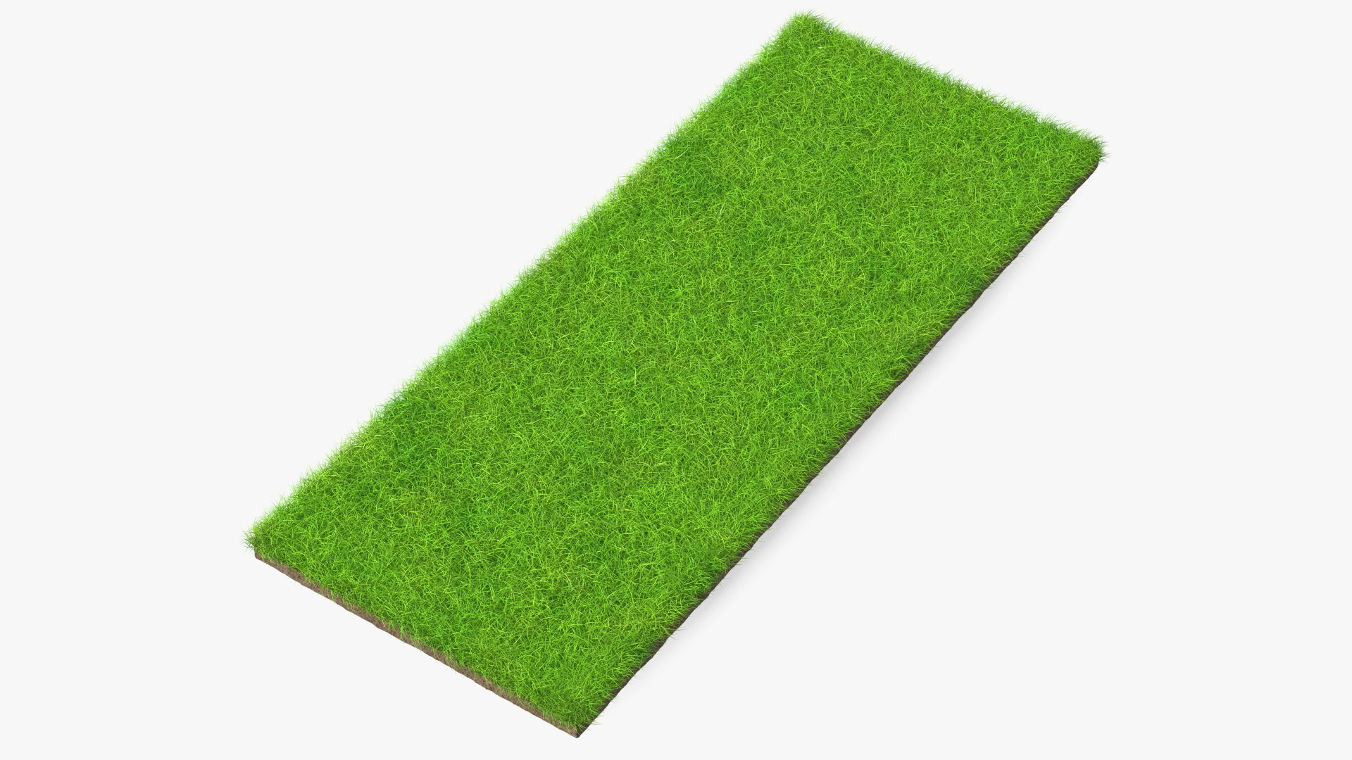 Lawn Turf Roll Unfolded Fur 3D model preview