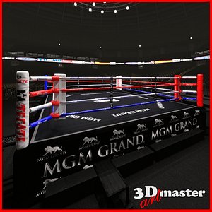3D model interior boxing arena