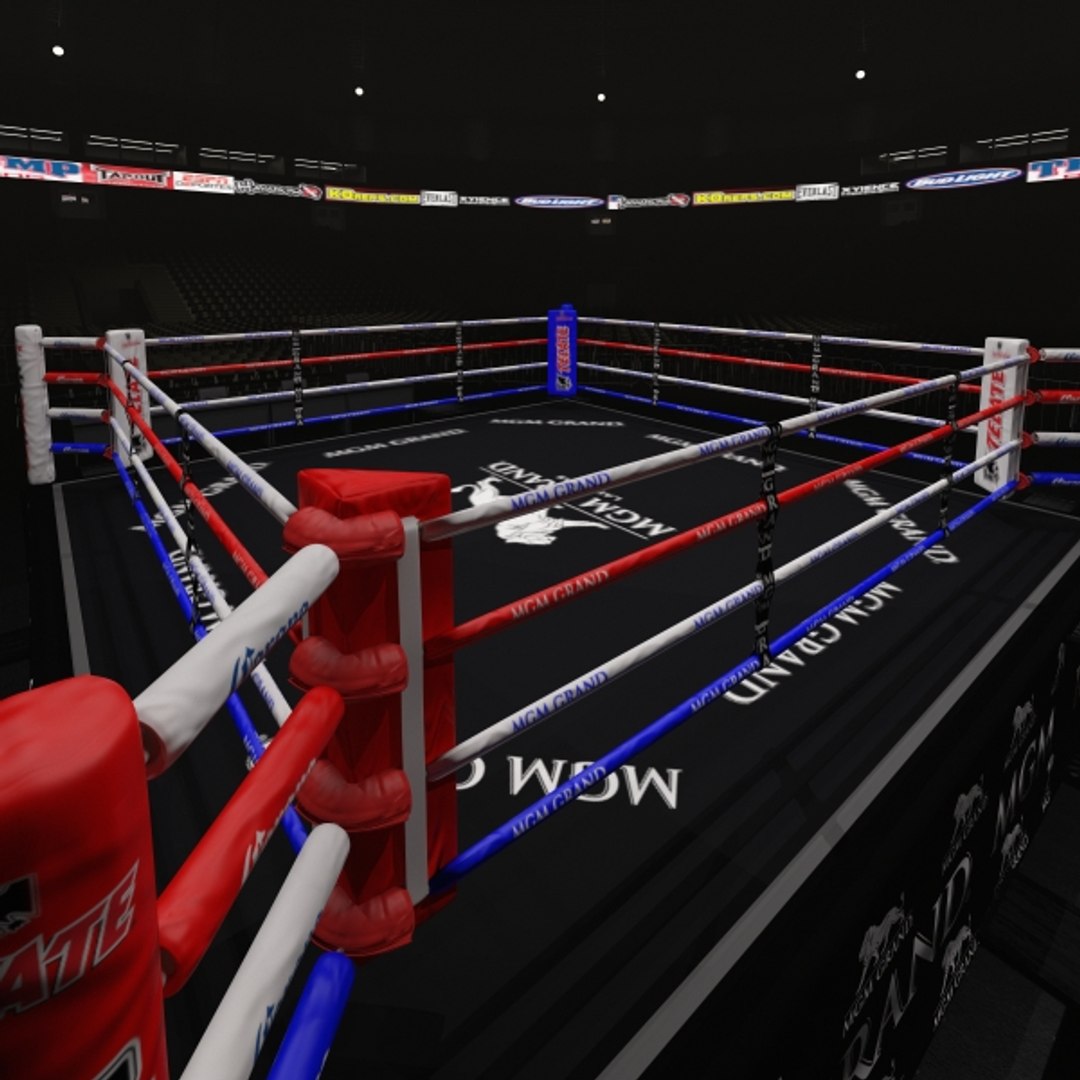 3D Model Interior Boxing Arena - TurboSquid 1178750