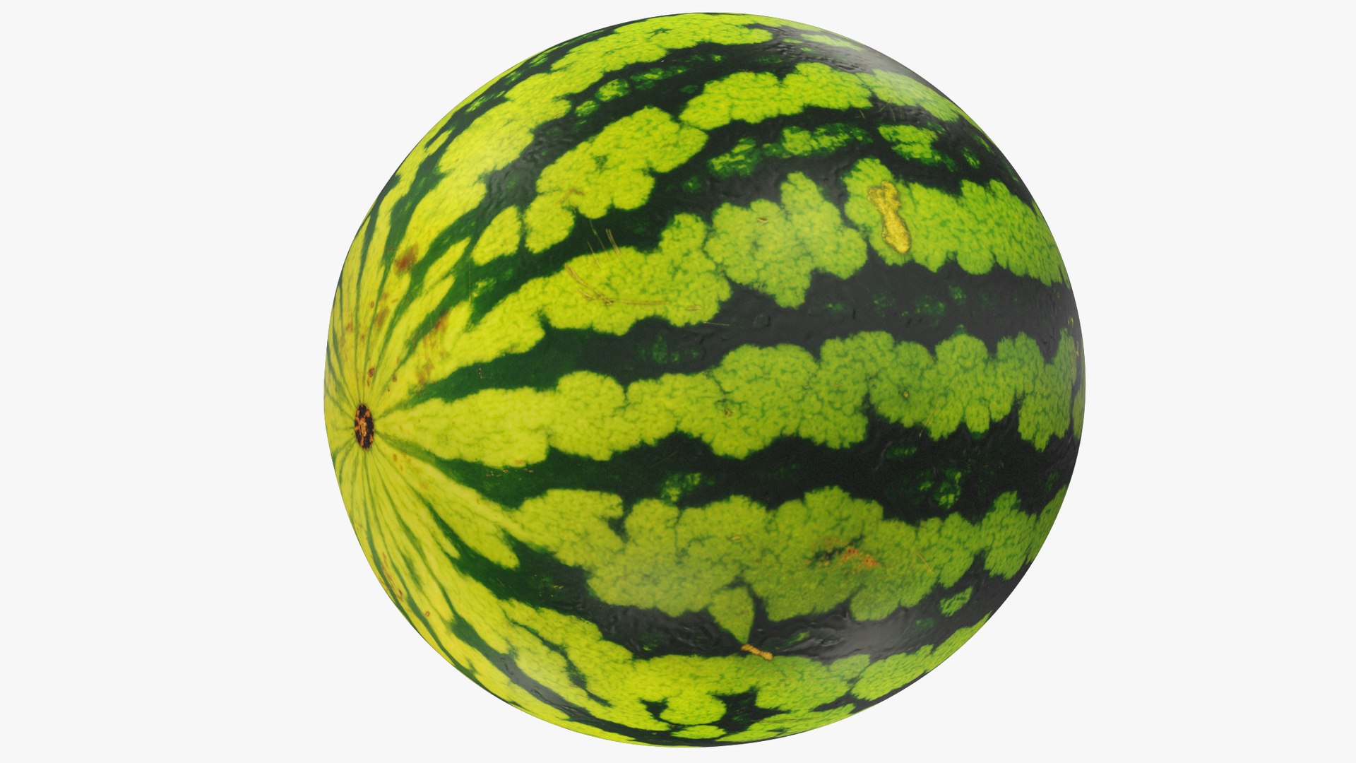 Watermelon V1 Model - TurboSquid 2221394