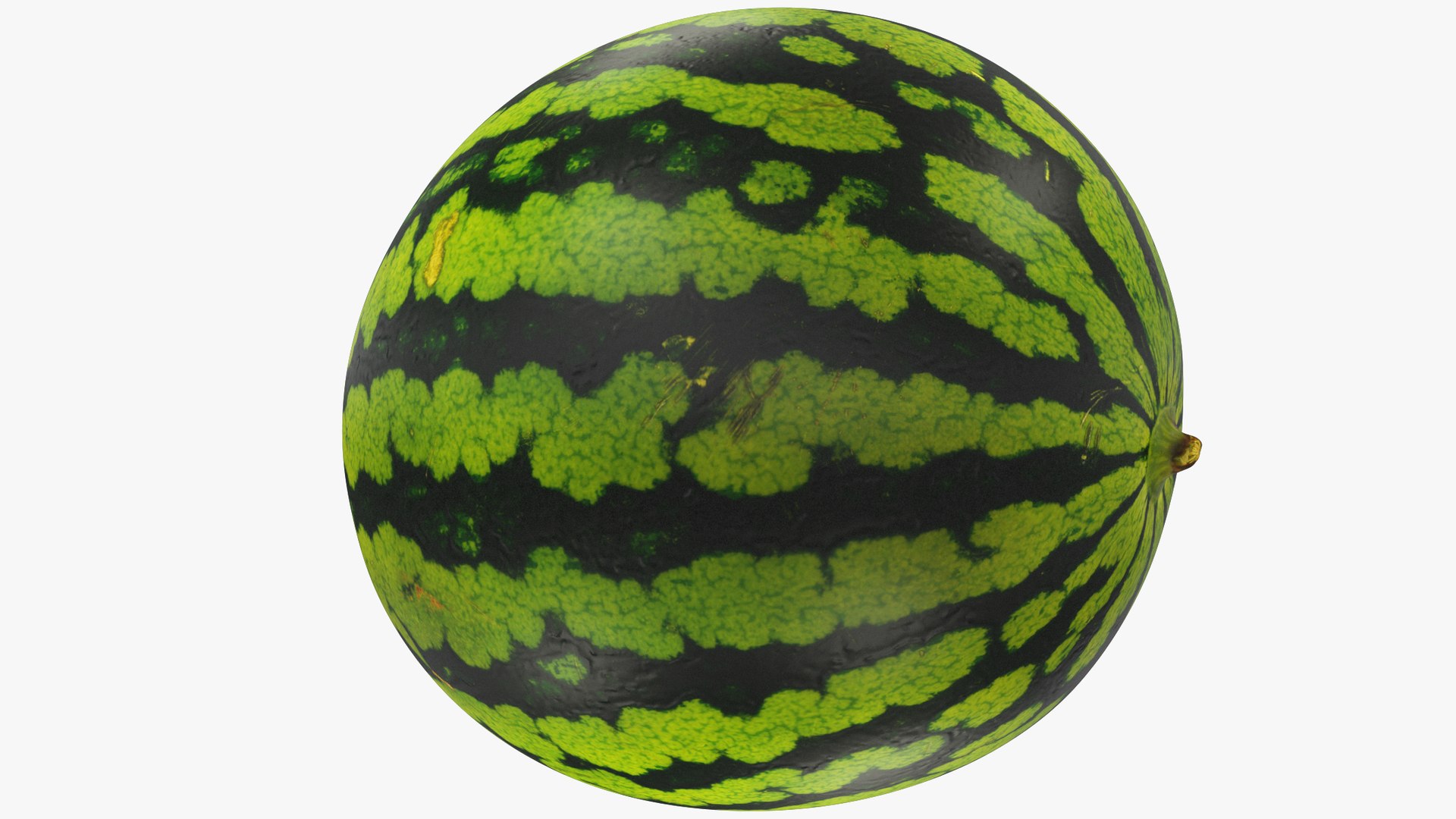 Watermelon V1 Model - TurboSquid 2221394