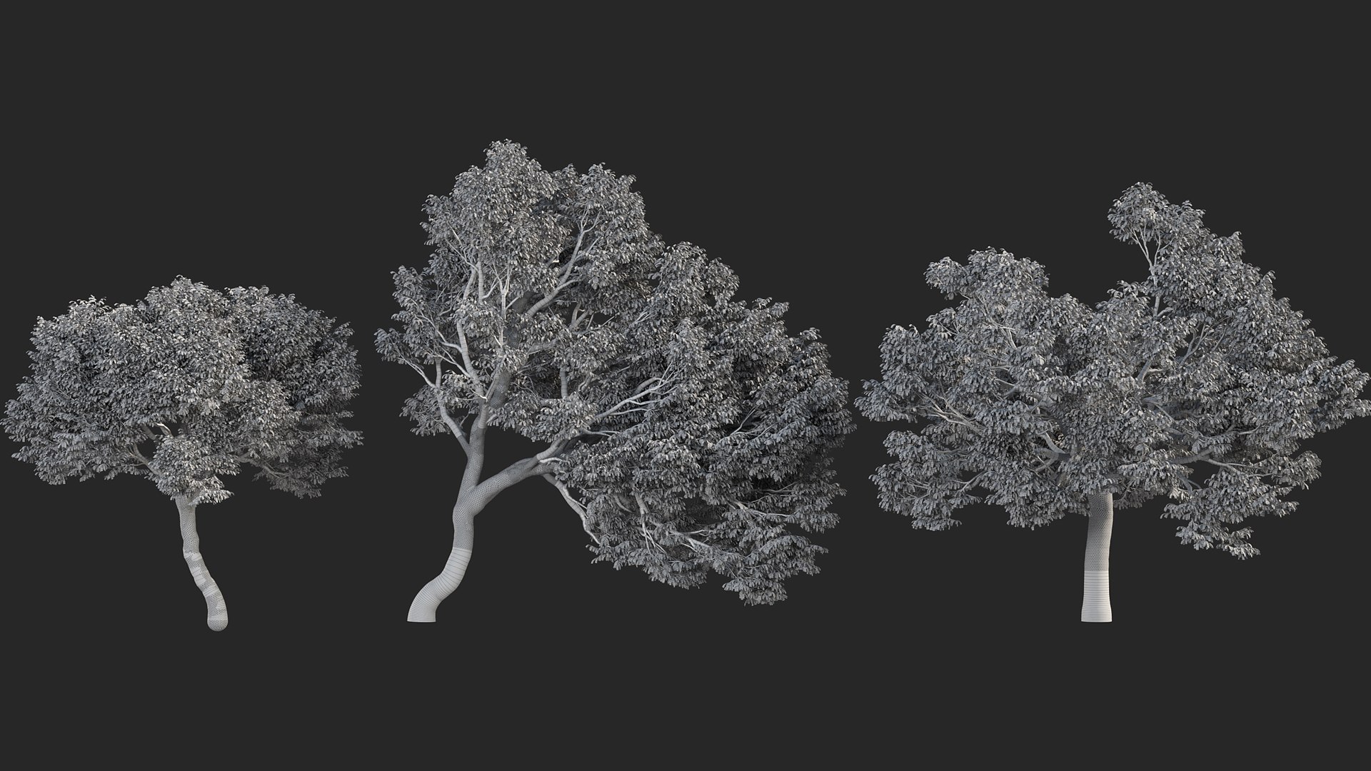 3D Castanea dentata 3D model https://p.turbosquid.com/ts-thumb/hQ/67S3BY/1Q/gd_v14_castanea_dentata_05/jpg/1786167291/1920x1080/fit_q87/3a9fa058d89654289ccc20028fca717bdf22f093/gd_v14_castanea_dentata_05.jpg