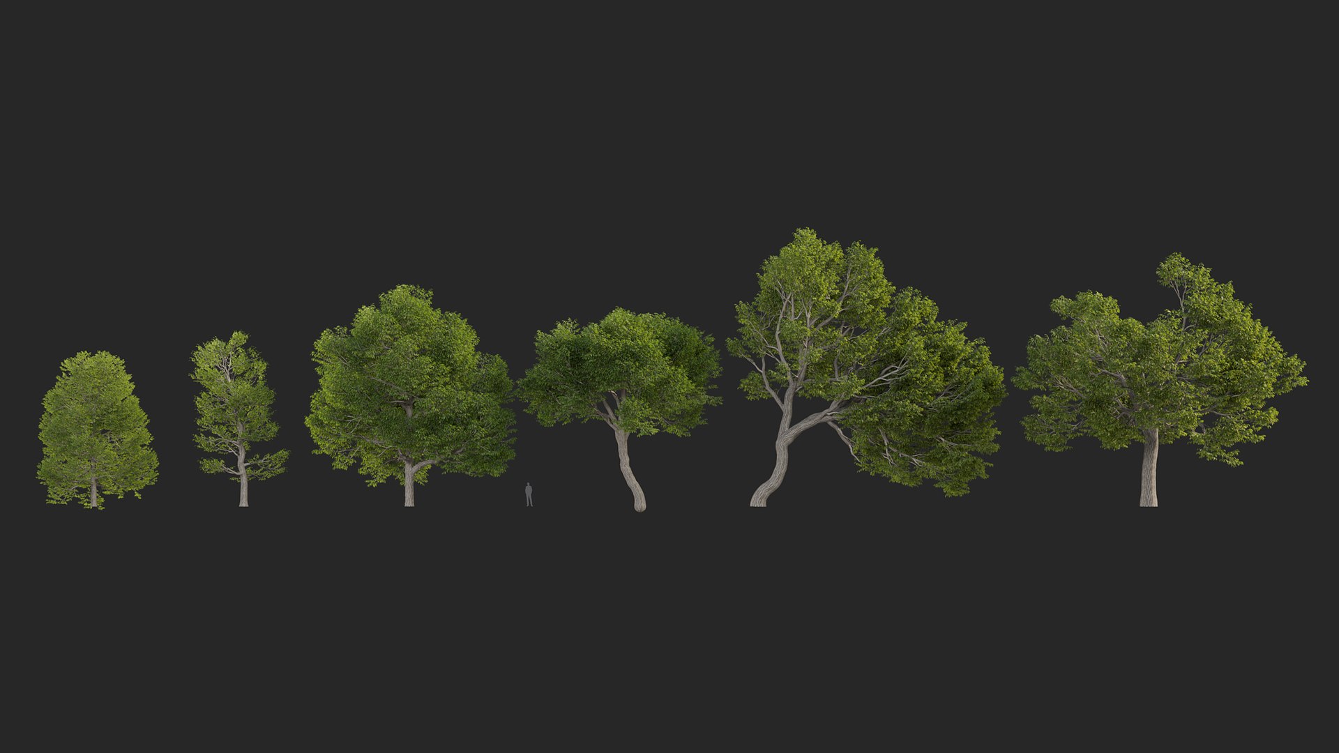 3D Castanea dentata 3D model https://p.turbosquid.com/ts-thumb/hQ/67S3BY/HL/gd_v14_castanea_dentata_01/jpg/1786167291/1920x1080/fit_q87/fcf6b7ab178a67ea5b105e9f56db7c3252eba51a/gd_v14_castanea_dentata_01.jpg