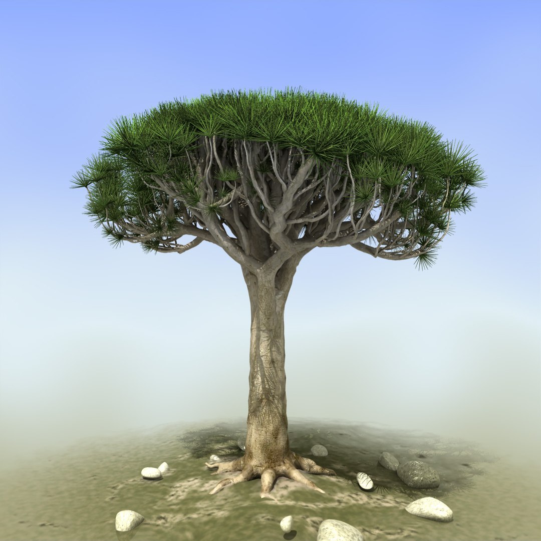 3d african tree https://p.turbosquid.com/ts-thumb/hQ/LaL1fh/RjZ14waP/africantree2/jpg/1401310487/1920x1080/fit_q87/1be5a41757be967d57a21d376ab20e349257cefc/africantree2.jpg