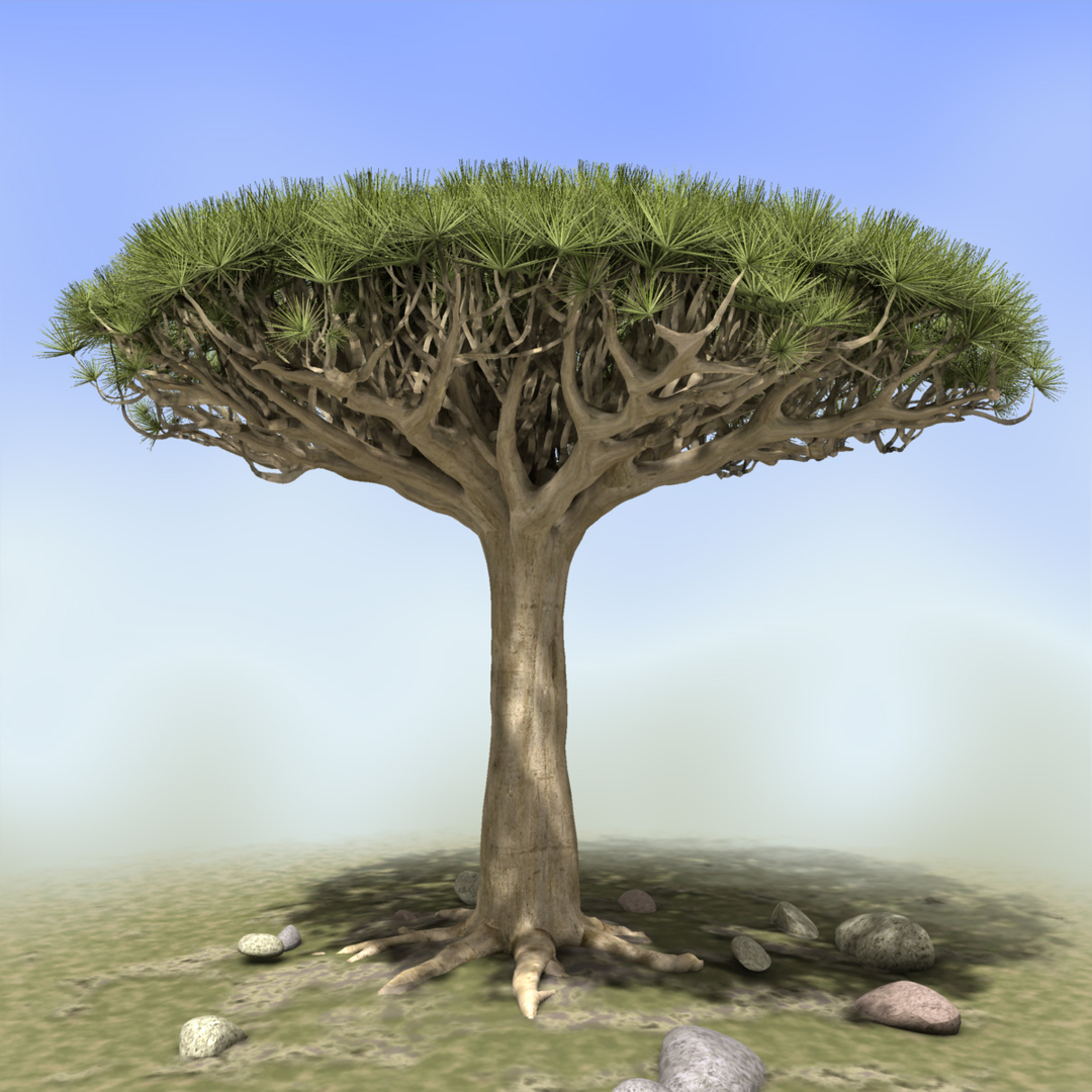 3d african tree https://p.turbosquid.com/ts-thumb/hQ/LaL1fh/cBr3PVfV/drbldtrn/jpg/1398171961/1920x1080/turn_fit_q99/d45b3579501b5b332d6567cc2db255b6779e9902/drbldtrn-1.jpg