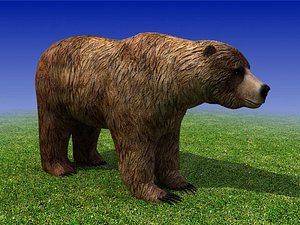 Grizzly Bear Low Poly 3D Model