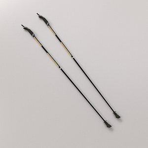 Walking Pole