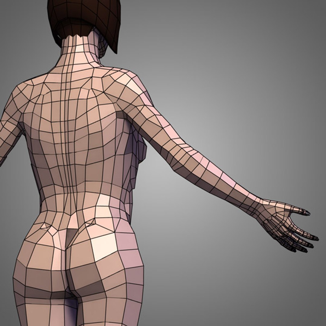 3d female body urogenital model https://p.turbosquid.com/ts-thumb/hQ/iULxET/L3rPm8TN/urogenital_096/jpg/1323528088/1920x1080/fit_q87/3b2a7848bf1adad77b6edb3e9761078ba559a1df/urogenital_096.jpg