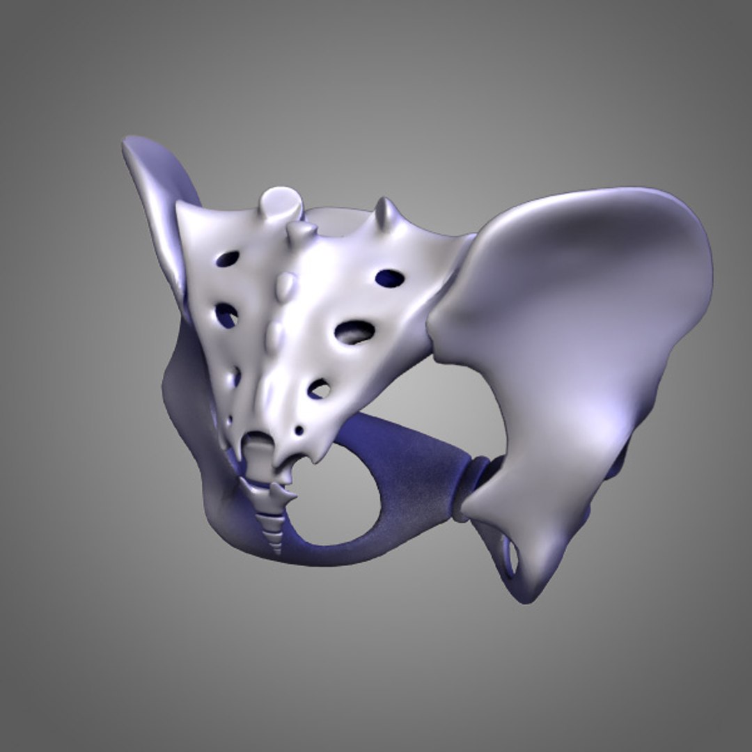 3d female body urogenital model https://p.turbosquid.com/ts-thumb/hQ/iULxET/ziYHY0lk/urogenital_094/jpg/1323528088/1920x1080/fit_q87/d256b6df4078697c3e08f58b2128927a39344d3b/urogenital_094.jpg