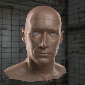 AAA_HeroHead_wNormalMap_OBJfiles