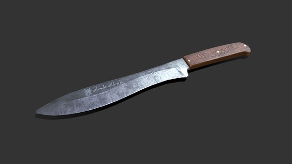 z01.jpg