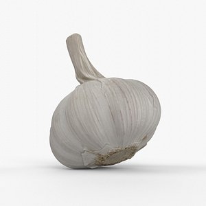 Photorealistic 3D scan of garlic