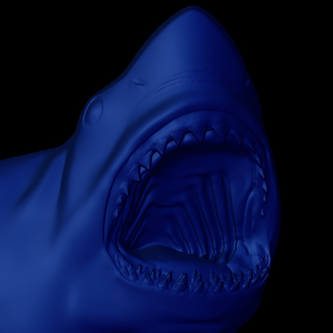 great white shark bas 3ds https://p.turbosquid.com/ts-thumb/hQ/zrPjUW/FE1h42PC/closeup/jpg/1324137126/1920x1080/fit_q87/7e93caead3a363d4ba5ef616aa7951580bed332e/closeup.jpg