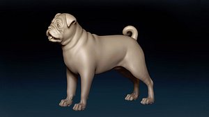 3D Pug Dog Base Mesh 3D model model