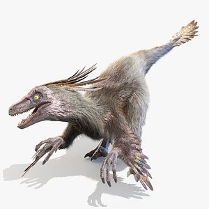 Velociraptor Animated
