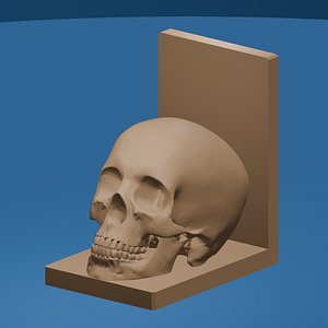 3D model Skull Bookend Gothic Decorative Shelf Piece