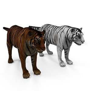 Cartoon Tiger White and Natural 3D Model $39 - .max .fbx .obj .3ds - Free3D