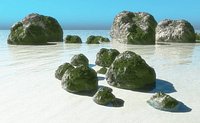 Vue Rocks
