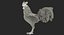 Coq