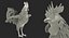 Coq