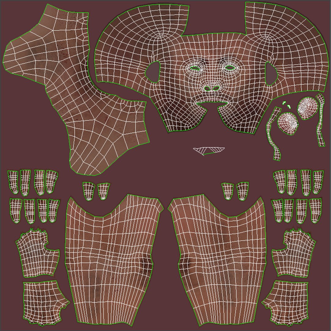 3D archer hair rigging animation - TurboSquid 1434048