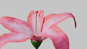 Lilly