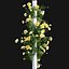 3D Bundle 08  Rose garden model
