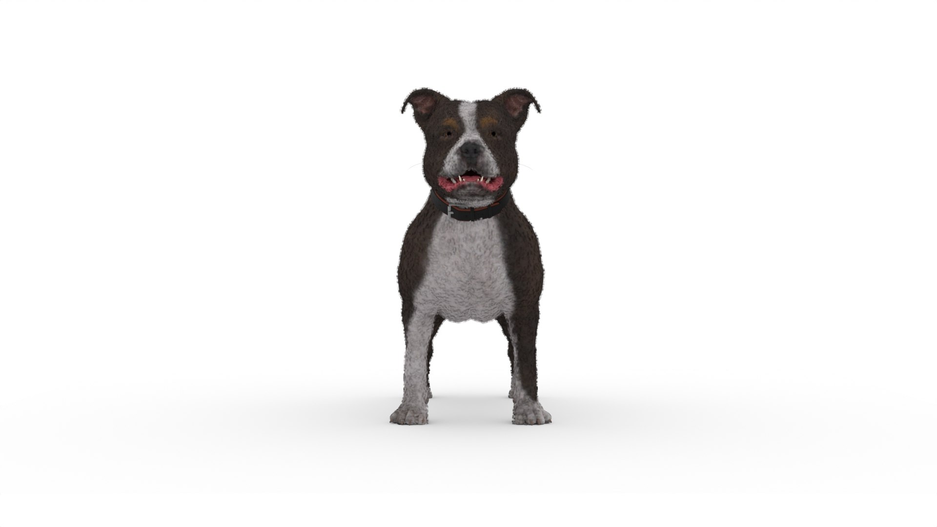 Dog model - TurboSquid 2148123