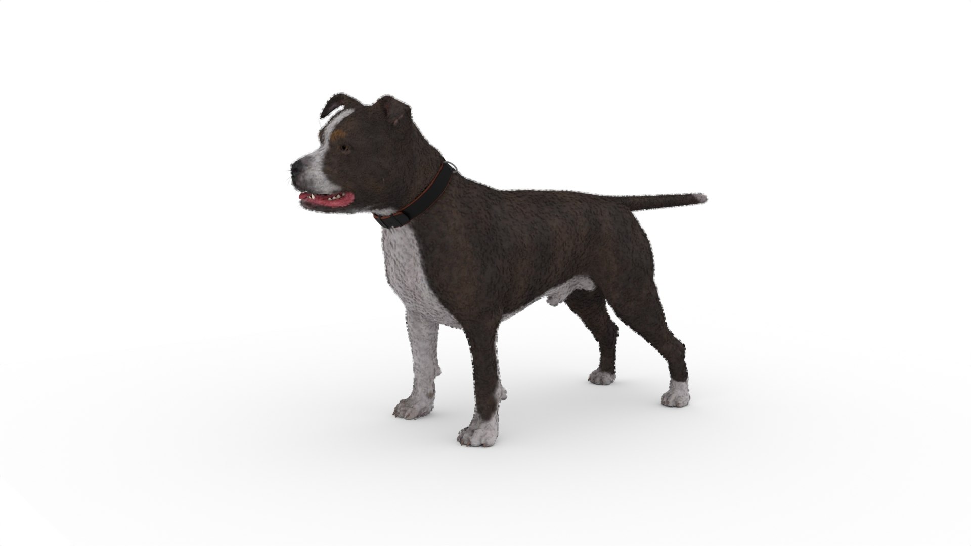 Dog Model - TurboSquid 2148123