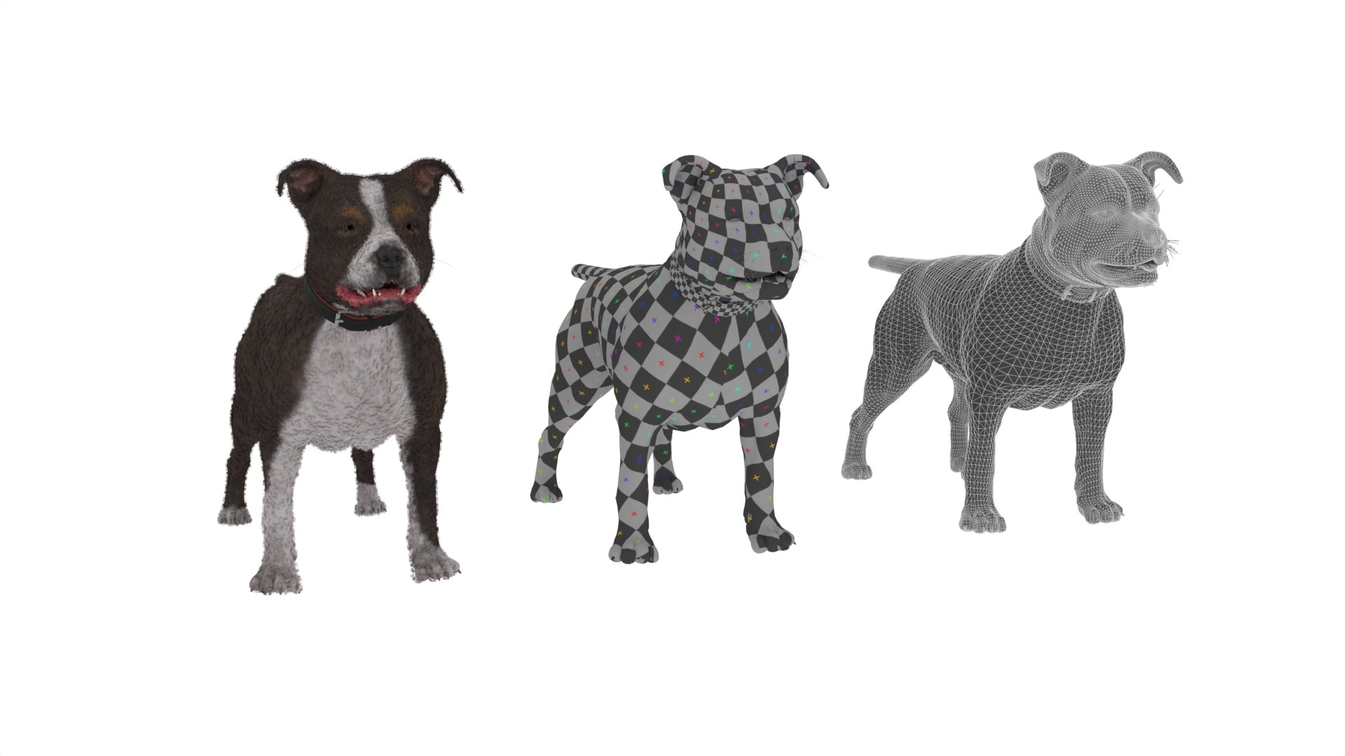 Dog Model - TurboSquid 2148123