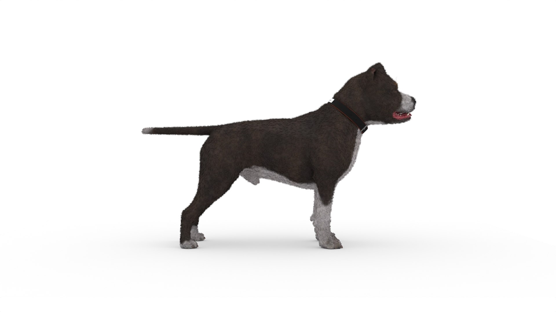 Dog Model - TurboSquid 2148123