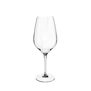 Wine Glass Model