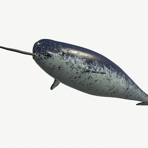 narval