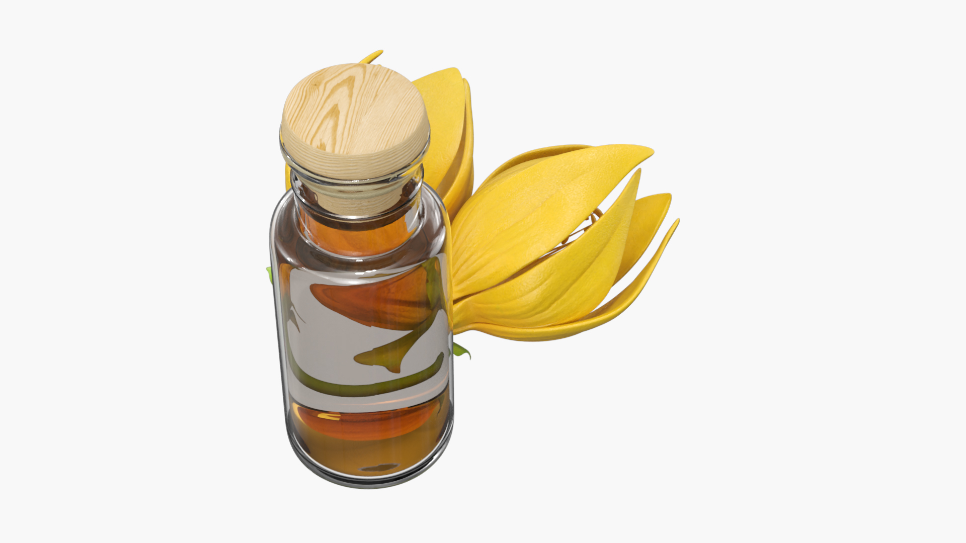 3D Ylang Ylang Oil Bottle with Flower model https://p.turbosquid.com/ts-thumb/hS/R0jCzZ/CJ/ylang_ylang_oil_bottle_with_flower_360/jpg/1770160765/1920x1080/turn_fit_q99/5b7c53122a1dadb3072946e11dadcdf8ca0b909c/ylang_ylang_oil_bottle_with_flower_360-1.jpg