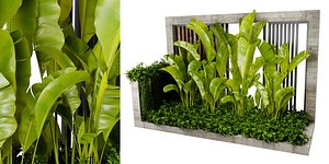 Collection plant vol 513 - blender model 3D model