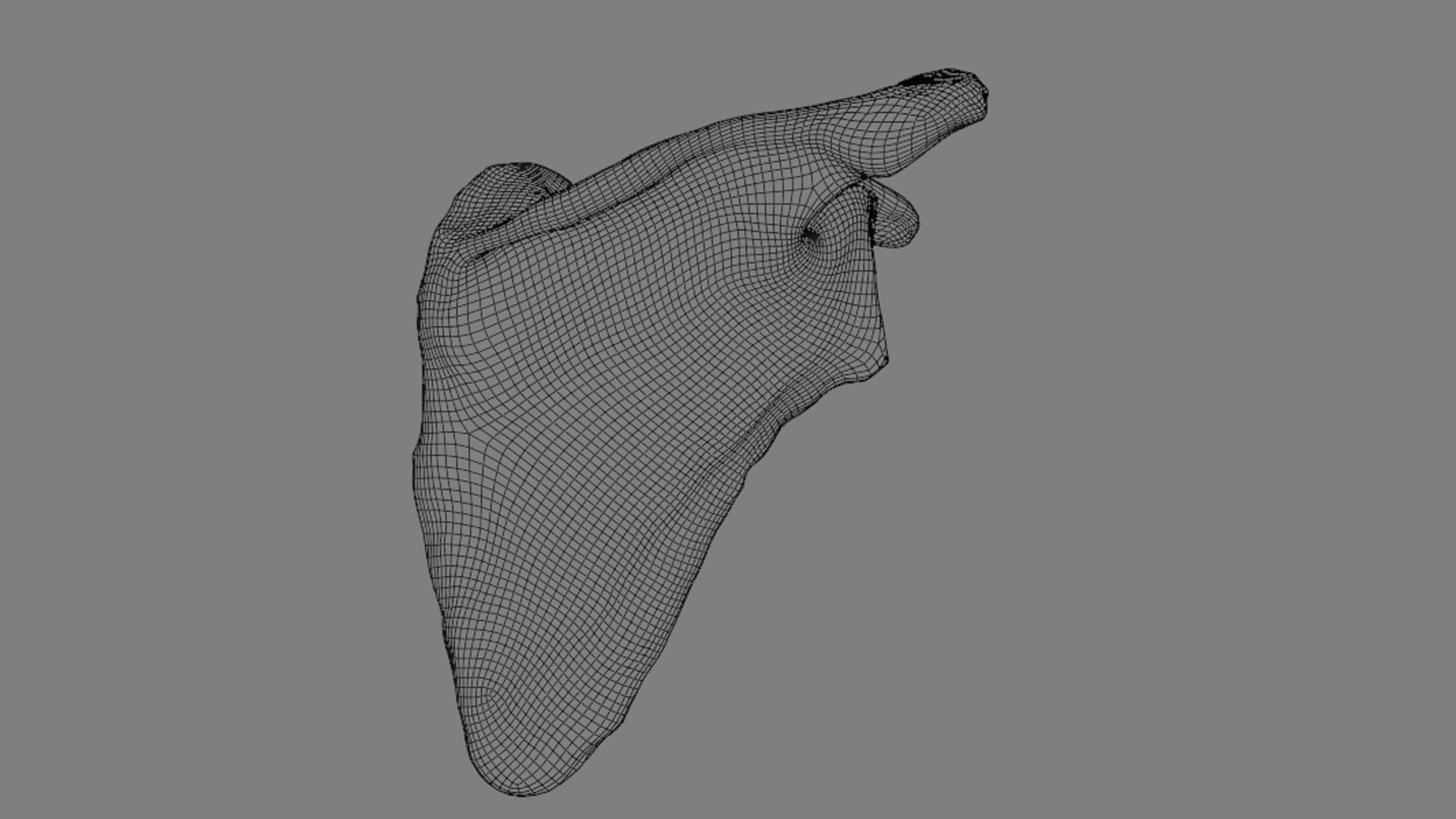 Ligaments of the shoulder joint model https://p.turbosquid.com/ts-thumb/hS/erd4tc/58/wire6/jpg/1706470417/1920x1080/fit_q87/3a4368c00d7afec0d1d8b04435cbeacc2fe6edff/wire6.jpg