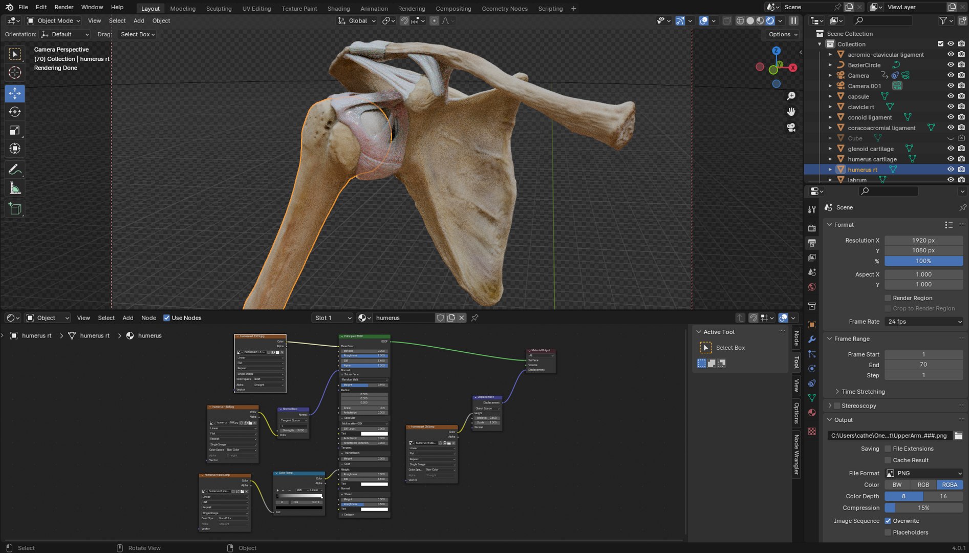 Ligaments of the shoulder joint model https://p.turbosquid.com/ts-thumb/hS/erd4tc/L5/captureblender/png/1706470788/1920x1080/fit_q87/7ee284169004db9b8e33ce5bd48b65921ec11b12/captureblender.jpg