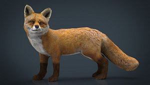 3D hd fox